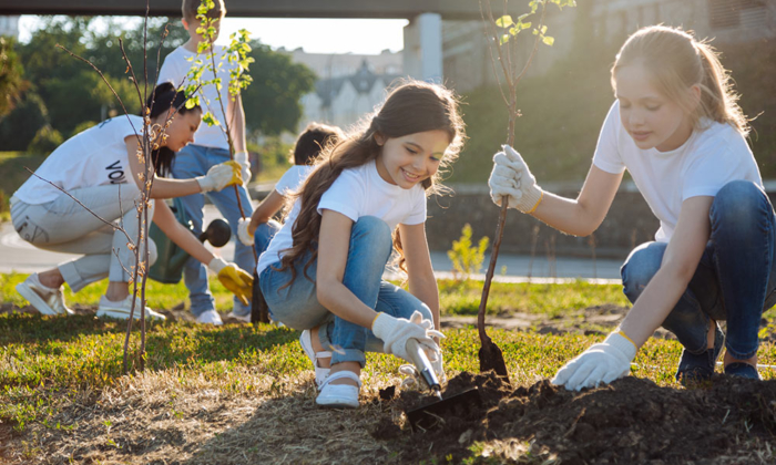 Youth volunteering to plant trees